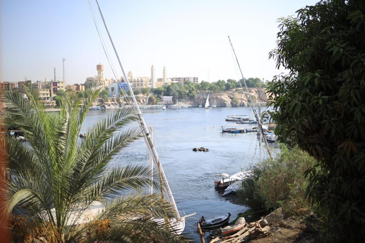 Kana Kato Aswan Rom bilde